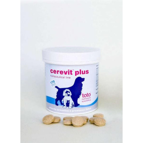 Cerevit Plus